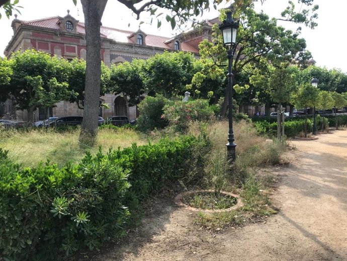 JxCat critica "el mal mantenimiento, la dejadez y la falta de limpieza en los espacios verdes" de Barcelona.