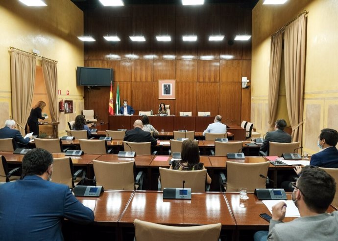 Constitución de la Comisión de Estudio sobre recuperación económica y social de Andalucía a causa de la pandemia del Covid-19 en el Parlamento de Andalucía.