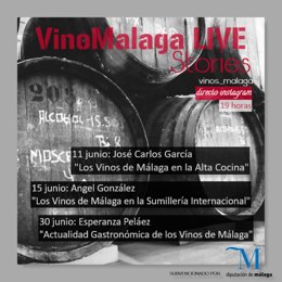 Málaga.- Coronavirus.- Diputación apoya encuentros online del Consejo Regulador 