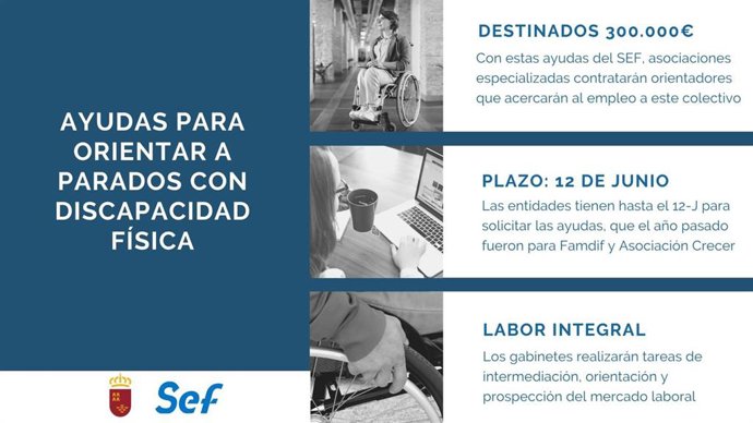 Gráfico con información sobre el programa del SEF que financia gabinetes de orientación e inserción laboral para desempleados con discapacidad física y/u orgánica.