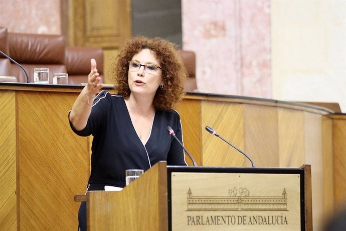 La diputada parlamentaria del grupo Ciudadanos y portavoz de la Comisión de Educación, Mar Sánchez.