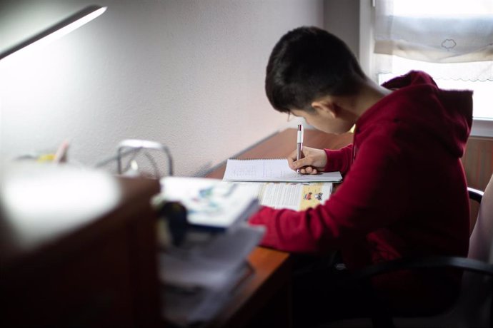 Un estudiante hace deberes en su domicilio de Vitoria durante el confinamiento.