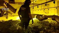 Descubierto un centro de producción de marihuana debajo de los semisótanos de tres viviendas en Las Gabias (Granada)
