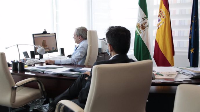 Imagen del consejero de Economía, Rogelio Velascol, durante la reunión telemática del patronato de la Fundación Cotec. 