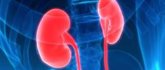Foto: Una base de datos europea muestra que el riesgo de muerte es alto en trasplantados de riñón con COVID-19