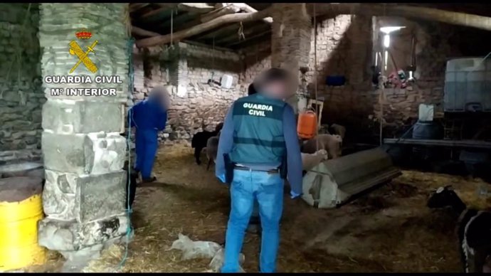 Sucesos.- La Guardia Civil recupera en Navarra 67 animales robados a ganaderos d