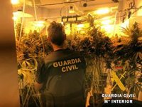 Desmantelada una plantación de marihuana en un edificio de Roquetas de Mar (Almería)