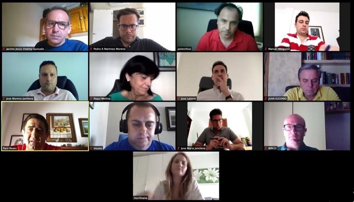 Reunión telemática con los comites comarcales del PSOE