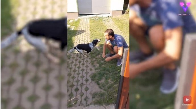 Un perro y su dueño se reencuentran después de tres meses sin poder verse