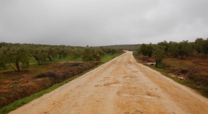Camino rural. 
