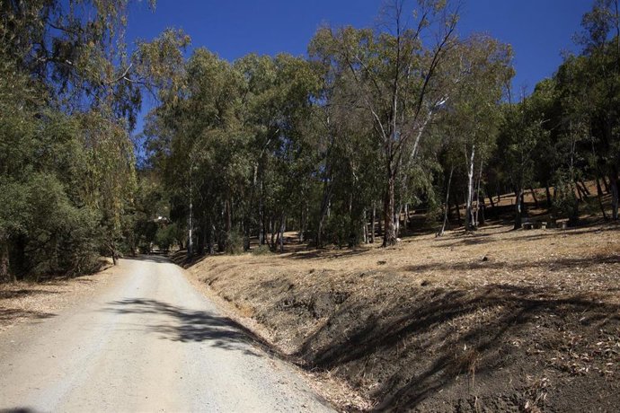Un camino de la provincia de Córdoba