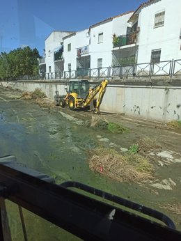 Trabajos de limpieza en el rio Albarregas, en mérida