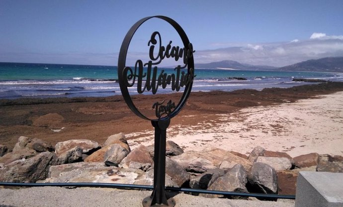 Playa de Tarifa con una alfombra de alga asiática