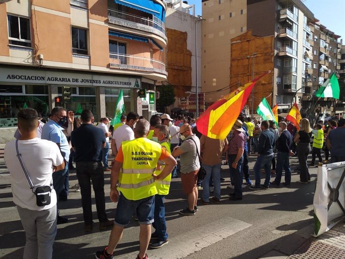 Jaén.- Olivareros se manifiestan ante las sedes de las organizaciones agrarias p