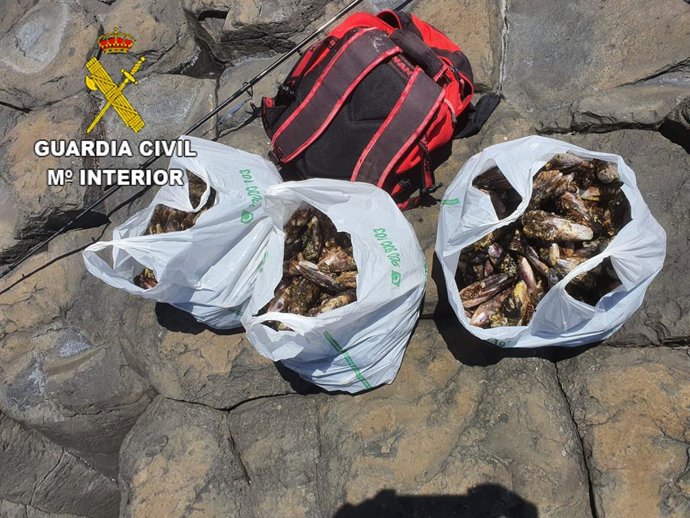 Marisqueo ilegal de mejillones en Fuerteventura