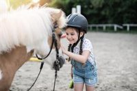Granja escuela, un verano entre animales y plantas