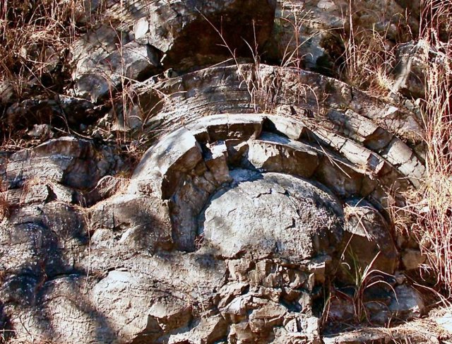 Gigantescos montículos de estromatolitos fósiles de hace unos 2.500 millones de años se encuentran en Sudáfrica