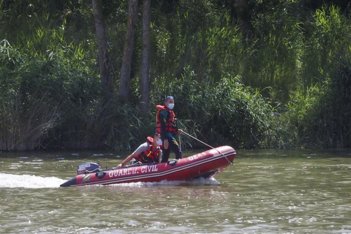 Operativo de búsqueda de un reptil de gran tamaño en Simancas (Valladolid).
