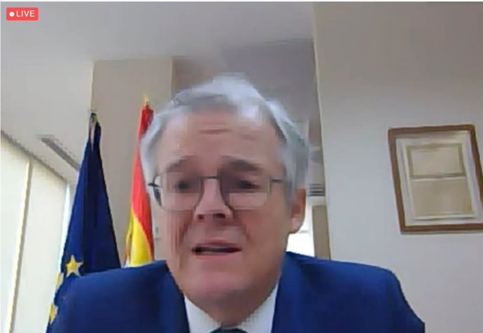 El presidente de la CNMV, Sebastián Albella, durante la sesión online organizada por el Consejo General de Economistas.