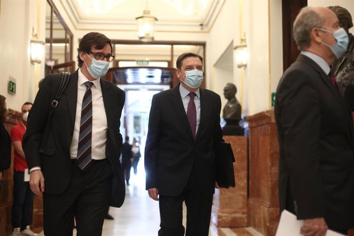 El ministro de Sanidad, Salvador Illa, y el ministro de Agricultura, Pesca y Alimentación, Luis Planas, a su llegada a una sesión del Pleno del Congreso