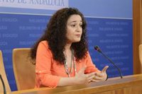 Nieto (IU) pide "no distraerse" en Adelante "con problemas internos" cuando "lo urgente" es la crisis del coronavirus