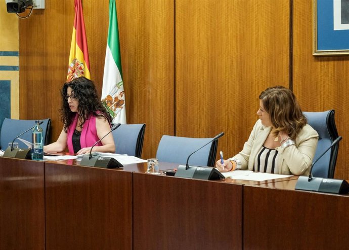 La consejera de Igualdad, Rocío Ruiz, en comisión parlamentaria