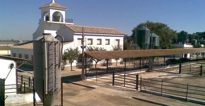 CádizAlDía.- Diputación destina más de 300.000 euros a mejorar la eficiencia ene