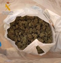 Siete detenidos tras un vuelco frustrado de marihuana en Albolote (Granada)