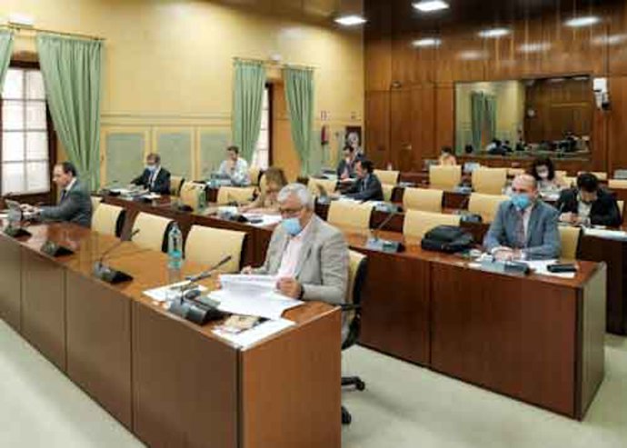 Imagen de la Comisión de Economía del Parlamento de Andalucía, durante su reunión celebrada este miércoles. 