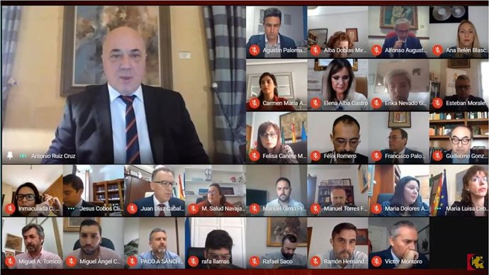 El presidente de la Diputación de Córdoba, Antonio Ruiz (arriba a la izda.), durante el Pleno telemático del mes de junio
