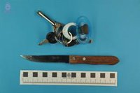 La Policía Nacional detiene a una mujer por agredir a su pareja con un cuchillo en el cuello