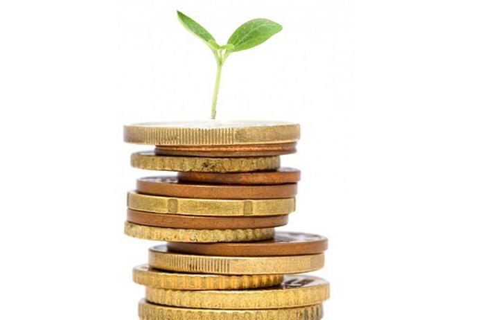 Finanzas sostenibles, cultivo, dinero, sostenibilidad, bono verde