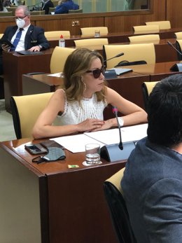 La parlamentaria de Cs por Almería, Mercedes López