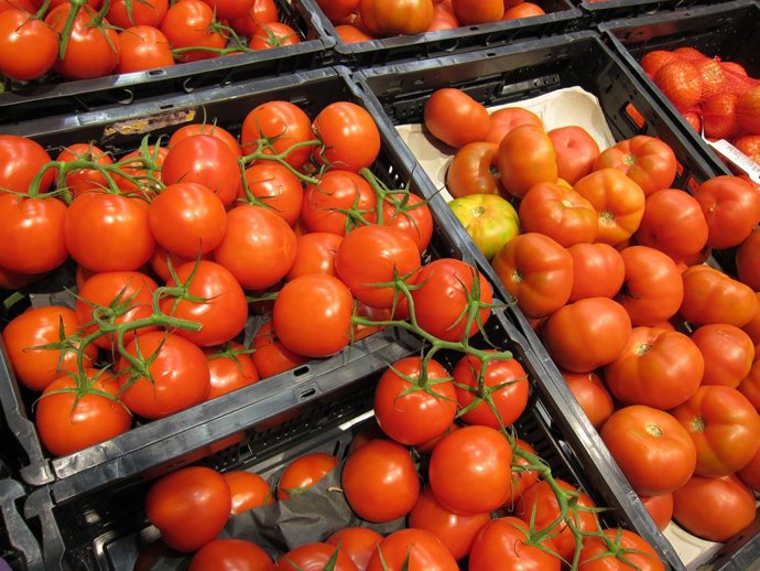 Hallan en alimentos y el agua los químicos que sustituyeron a los CFC que destru