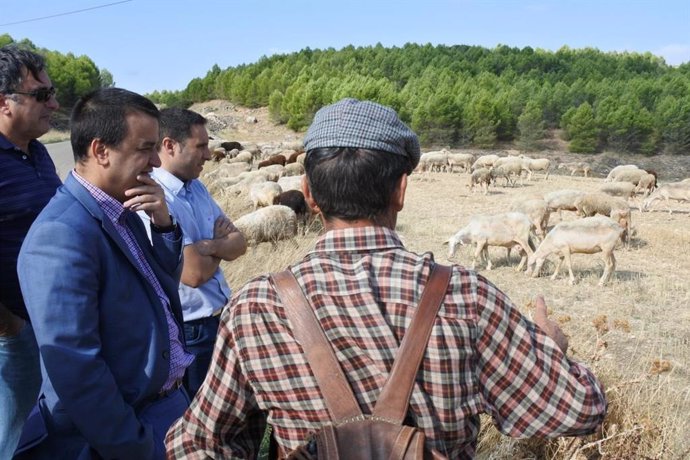 El consejero de Agricultura de C-LM, con ovejas y un pastor.