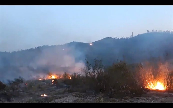 Incendios.- El fuego arrasó 14.693 hectáreas del 1 de enero al 31 de mayo, un 58