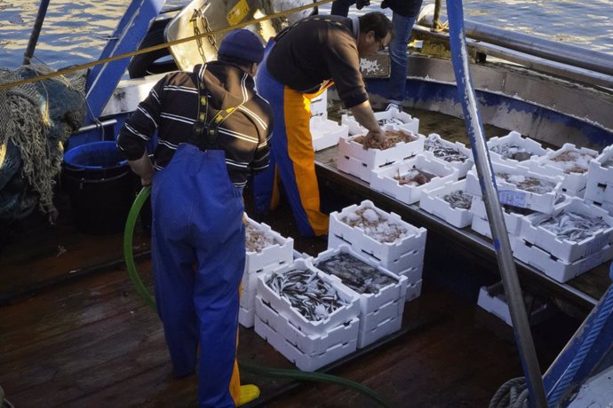 Carrefour compra pescado español