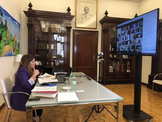 Irene García en reunión telemática con alcaldes de municipios menores de 20.000 habitantes.