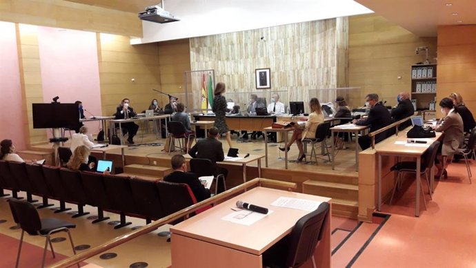 El juicio del caso Serrallo se reanuda tras la crisis de la covid-19