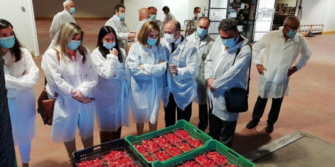 Junta destaca que las cooperativas agrarias andaluzas "engrosan la nómina de hér