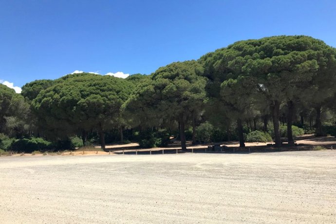 Cádiz.- Junta resalta el "impecable trabajo" de los técnicos para garantizar la 