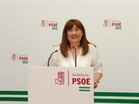 El PSOE-A reclama a Moreno que no "entierre" la renta mínima de inserción de Andalucía para que complemente al IMV