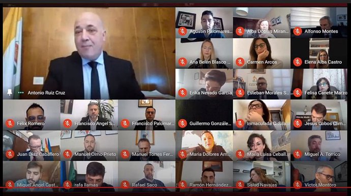 El presidente de la Diputación de Córdoba, Antonio Ruiz (arriba a la izda.), en la celebración de un Pleno telemático en una imagen de archivo