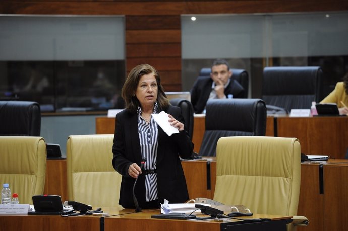 La vicepresidenta primera y consejera de Hacienda y Administración Pública de la Junta de Extremadura, Pilar Blanco-Morales, en el pleno de la Asamblea para hablar sobre la subida salarial de los funcionarios