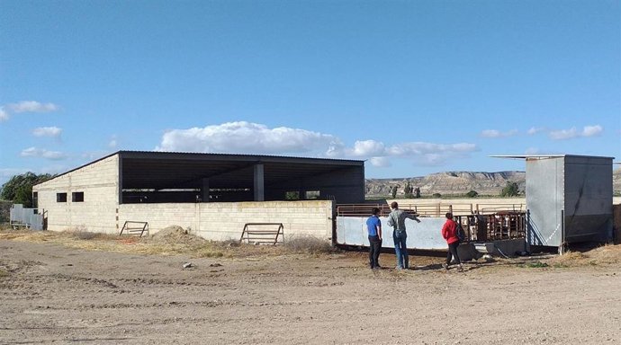 Una de las visirtas a una explotación ganadera