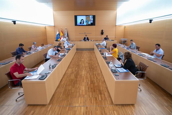 El Cabildo de Tenerife expone a los 31 ayuntamientos el plan de choque del secto