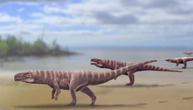 Reconstrucción de los antiguos cocodrilos que dejaron sus huellas en el registro paleontológico de Corea