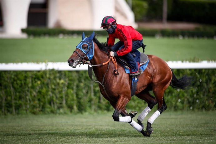 Un jockey se entrena en el hipódromo de La Zarzuela de Madrid, que retomará la actividad este domingo 14 tras el aplazamiento por la COVID-19
