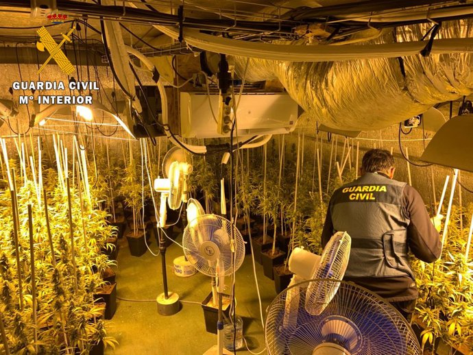 Plantación desmantelada en Cabezón de la Sal