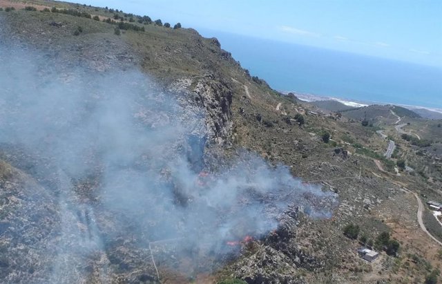 Paraje donde se ha declarado el incendio forestal en Enix